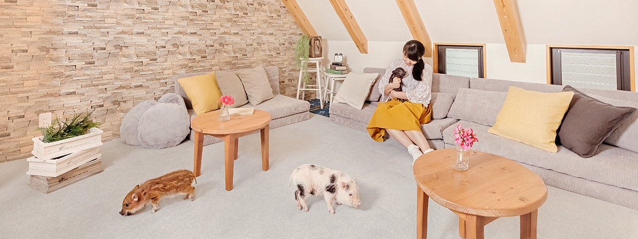 🐷 마이피그 카페 메구로점 (mipig cafe 目黒店) 이미지 3